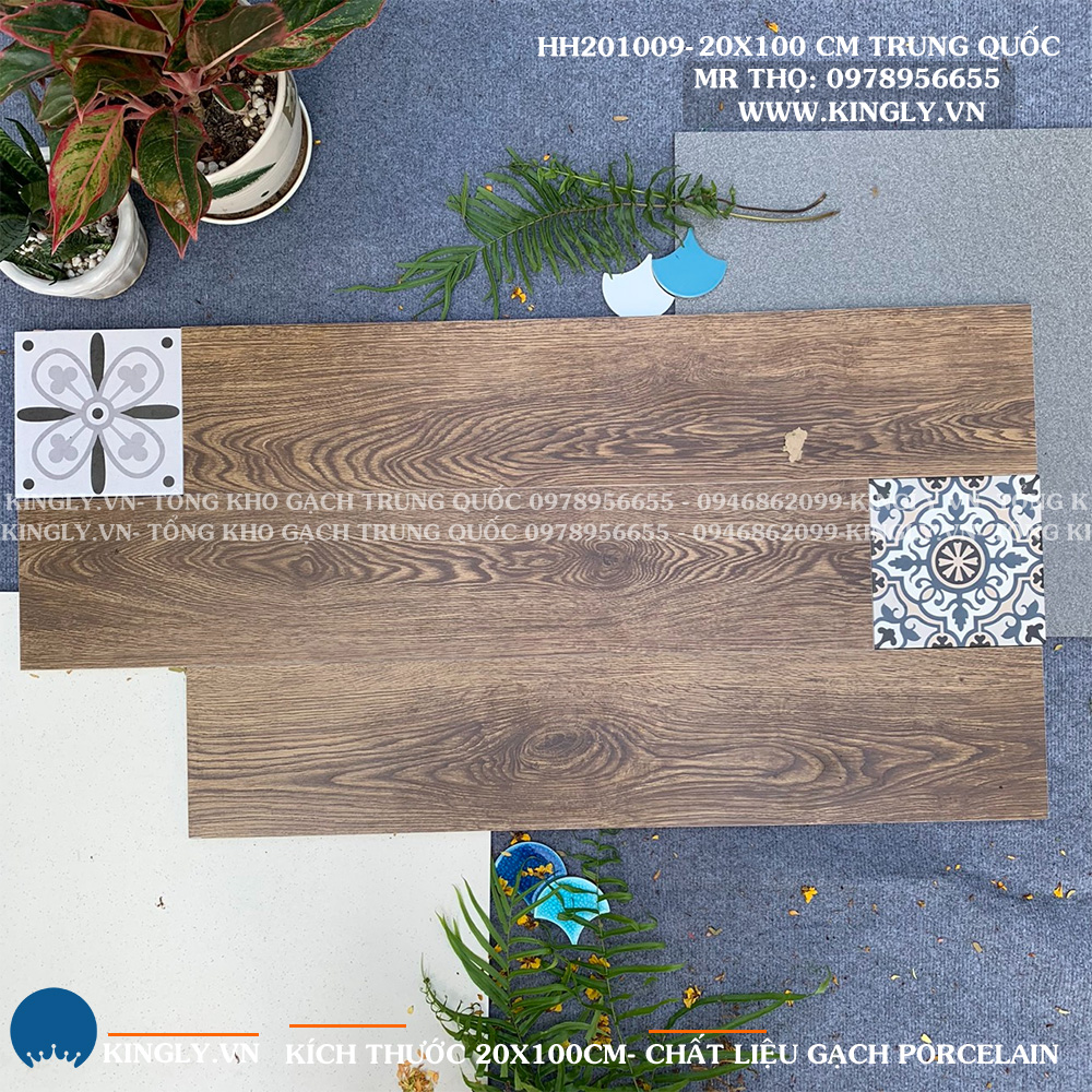 Gạch vân gỗ Trung Quốc 20X100 HH201009 Loại ưu